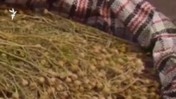 Таджикистанку приговорили к тюрьме за ввоз в Россию адраспана