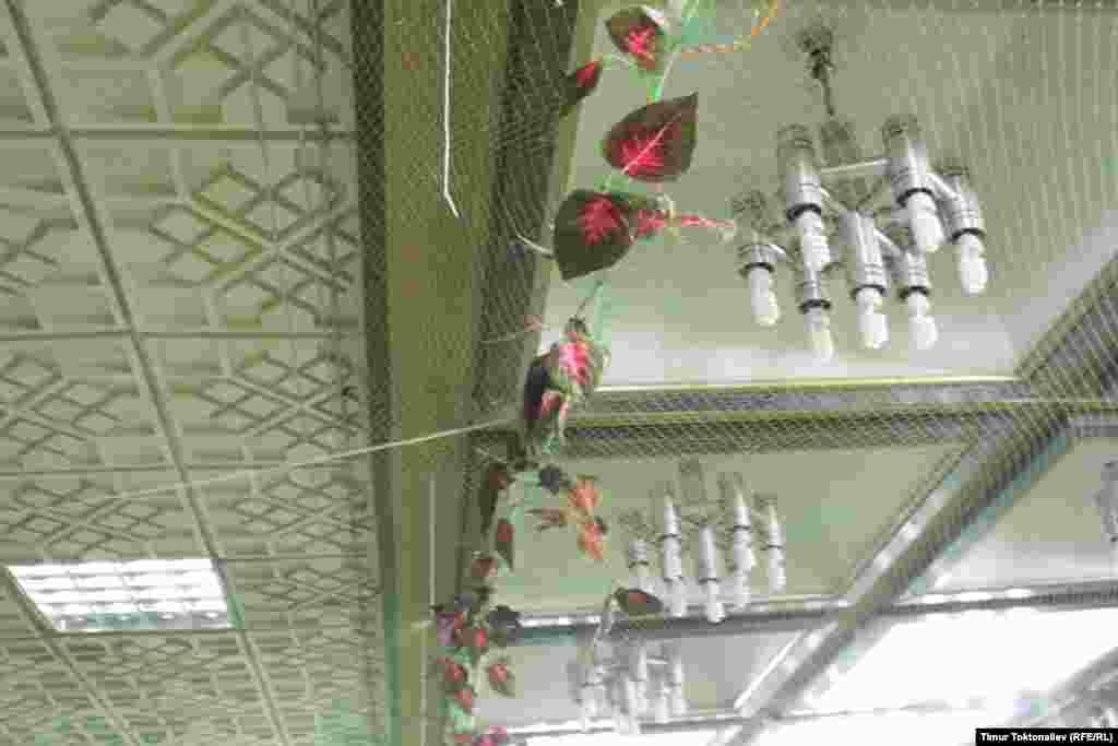 Көпөлөктөр учуп кетпеш үчүн павильондун үстү тор менен жабылган &nbsp; 