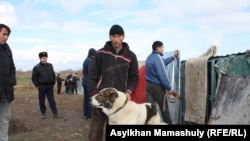 Житель села Шамалган Куандык Мусаев со своим псом. Узынагаш, 10 ноября 2014 года.