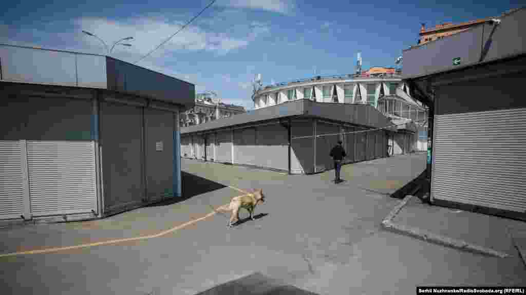 30 квітня&nbsp;Кабмін&nbsp;дозволив відкрити ринки. Але через різні причини не всі ринки відчинилися. На фото закриті кіоски&nbsp;ринку на Печерську 