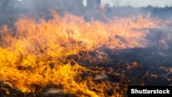 9-10 квітня у Києві очікується висока (4 класу) пожежна небезпека