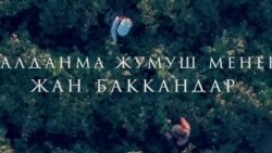 Жалданма жумуш менен жан баккандар 