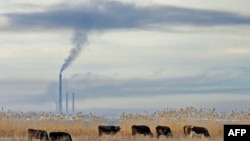 Бишкек жылуулук борборунан чыккан кара түтүн 