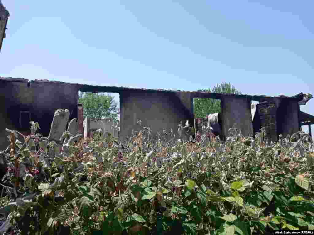 Максат айылы. 2-май, 2021-жыл.&nbsp;