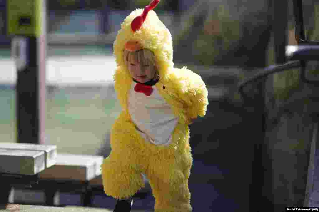 Це&nbsp;Ейс Йендра із Форт-Коллінза, штат Колорадо, йому два роки. Напередодні Геловіна він поспішає у костюмі курчати до Денверського зоопарку &nbsp;