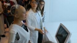 Эволюция мозга. Следующий шаг – искусственный интеллект?