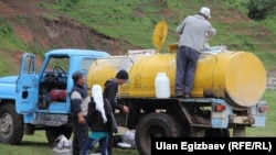 Кыргызстандагы сүт жыйноо маалы. Иллюстрациялык сүрөт.