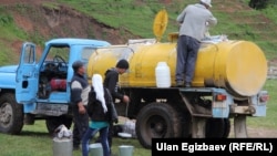 Сүт тапшыруу учуру. Архив сүрөт. 
