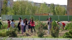 Daşoguz: Şäherara awtobuslarynyň ugry pagta meýdanlaryna üýtgedildi