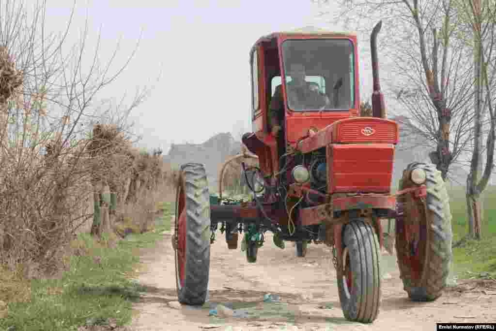 Табак – 3,3 тыс.га, на 0,1 тыс.га меньше