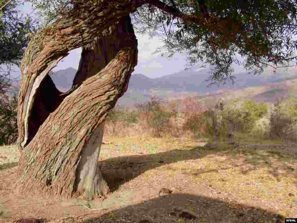 Как спасти издание от банкротства #19