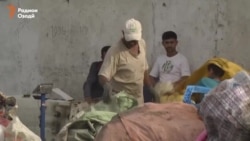 Душанбинские дети зарабатывают на продаже баклажек