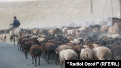 Акс аз бойгонӣ