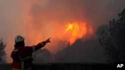 Португалиянын баш калаасы Лиссабондон анча алыс эмес жайгашкан Алькабидече аймагындагы токойлорду каптаган өрт. 25-июль, 2023-жыл. 
