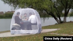 Падмацунак у парку ў кітайскім горадзе Наньцзін, 24 сакавіка 2020