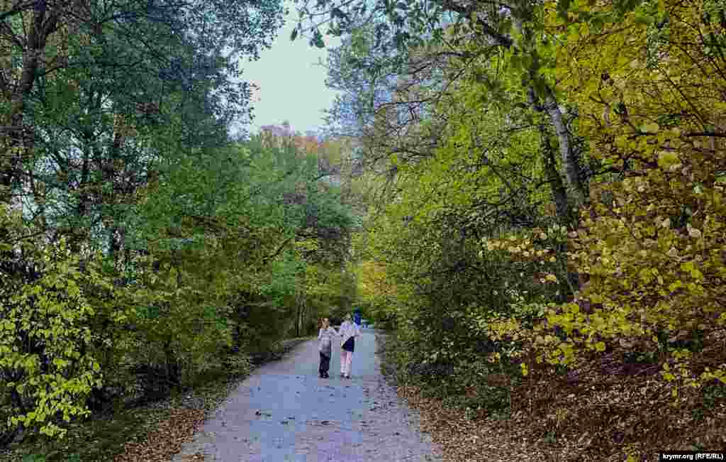 Manastırğa ketken yol