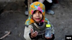 پویان: رئیس جمهور افغانستان در این زمینه تصامیمی روی دست دارد.