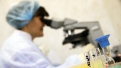 Türkmenistanda agzalmaýan keselçilik