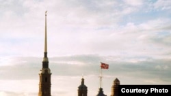 Сергей Миронов подтвердил, что Путин находится в Петербурге