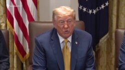 Թրամփի և Զելենսկիի հայտարարությունները