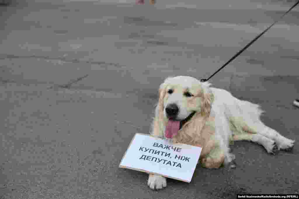 Уже 24 липня на сайті Верховної Ради з’явився законопроєкт про «посилення повноважень Національного антикорупційного бюро України та Спеціалізованої антикорупційної прокуратури», ініційований Володимиром Зеленським. Президент заявив, що його новий законопроєкт щодо НАБУ і САП – «те, що обіцяв для справедливості»