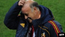 Висенте дел Боске