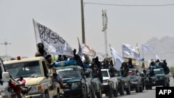 آرشیف، شماری از افراد گروه طالبان