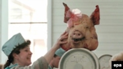 В российском импорте свинины доля стран ЕС составила в 2006 году 40%