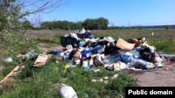 Алабуга районы Мальцево авылы янындагы чүплек