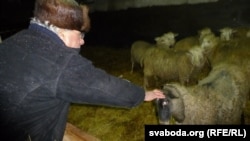 Для авечак Хамід Фарадж свой