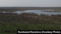 Когалы көлүнүн бир чети. Жергиликтүү тургун Нуржамал Раматованын сүрөтү