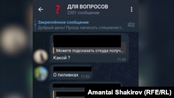 Қырғызстандағы ата-аналар үшін ашылған телеграм-топ