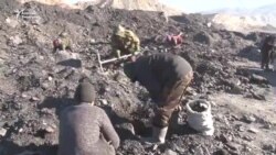 Кара алтындын өмүрдү уурдаган түйшүгү