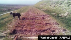 Өзбек бийликтери бузуп салган Өзбекстан-Тажикстан темир жолунун 700 метр жери. 22-март 2012