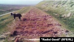 Өзбек бийликтери бузуп салган Өзбекстан-Тажикстан темир жолунун 700 метр жери. 22-март 2012