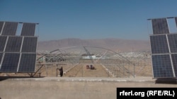 شماری از دهاقین در ترینکوت مرکز ولایت ارزگان می‌گویند، ایجاد سبزخانه ها در این ولایت نتیجه خوبی داده و آن را بدیل خوب برای کوکنار می‌دانند.