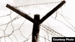 Ограждение из колючей проволоки. Фото с сайта www.karlag.kz  