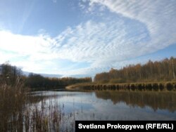 Река Желча в Гдовском районе