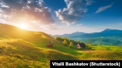 Карпати і їхні красоти (зокрема і стародавні правліси) також описані проєктом на платформі Гугла