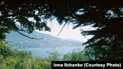 Лівадійський парк. Ялта. Окупований Крим