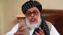 شیرمحمد عباس ستانکزی، معاون دفتر سیاسی طالبان