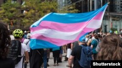 Флаг трансгендерного сообщества.
