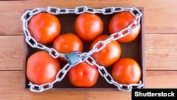 Иллюстративное фото