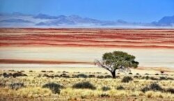 Ландшафт Намибии