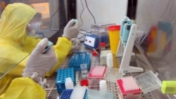 Лабораторія для тестування на COVID-19