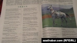 Türkmen gazetinde şahyra Gözel Şagulyýewanyň çap bolan “Akhan” atly goşgusy. 24-nji aprel, 2011.