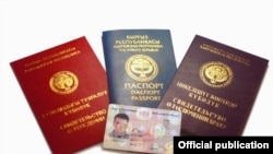 Кыргызстандын жарандык негизги документтери.