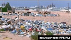 Arassalanmadyk zibil çeleklerini we üýşüp ýatan zir-zibilleri uly şäherleriň we kiçi obalaryň dürli ýerlerinde görmek mümkin. Türkmenistan (arhiw suraty) 