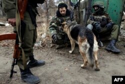 Українські військовослужбовці із вівчаркою біля селища Піски. Листопад 2014 року