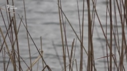 «Кіборг» про перші Мінські угоди та про значення аеропорту